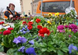 Junge Frau hinter kleinem LKW mit bunten Blumen auf der Ladefläche