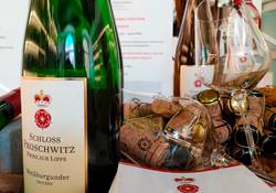 Schloss Proschwitz im Weinwürfel